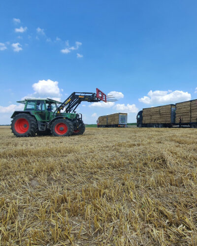 Raufutter Hochformat Feld